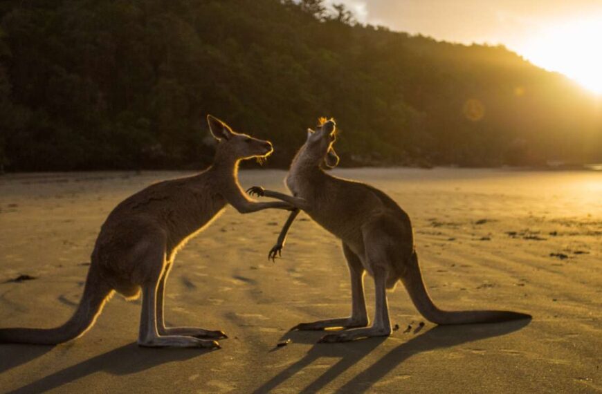 Discovering Remote Paradises And Untouched Beauty Across&hellip;