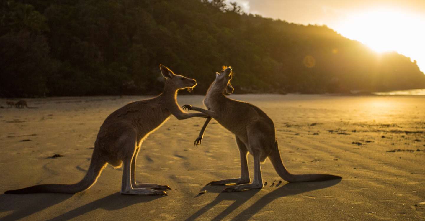 Discovering Remote Paradises And Untouched Beauty Across Oceans