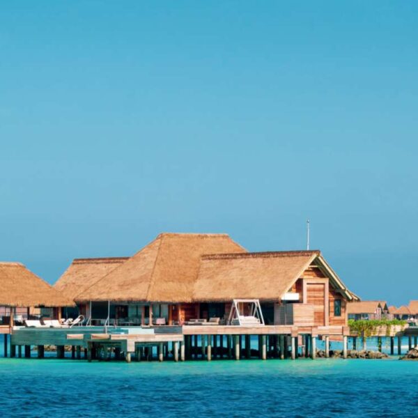 Culinary Delights: Exploring the World’s Exquisite&hellip;