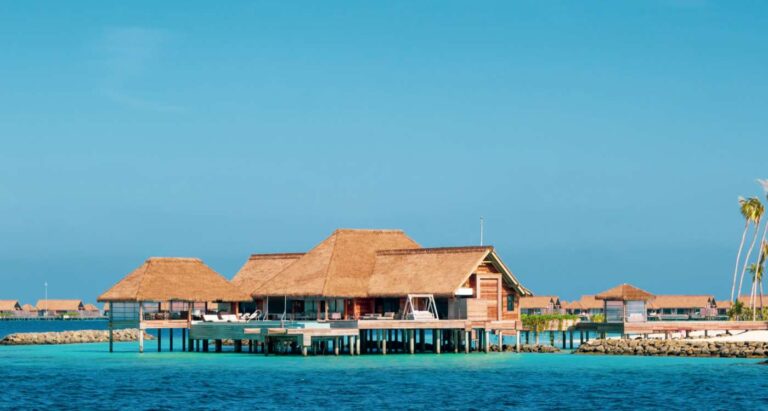 Culinary Delights: Exploring the World’s Exquisite Flavors