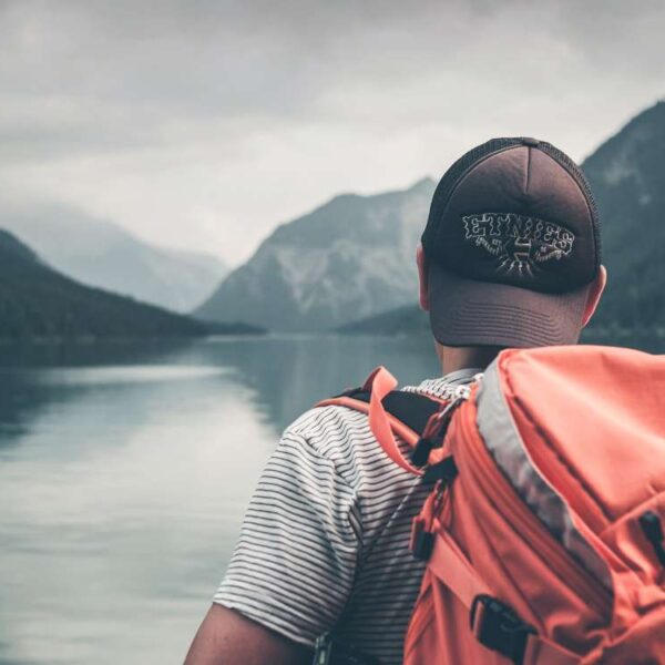 Immerse Yourself in the Vibrant Heartbeats&hellip;